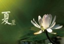 夏至養生怎麼吃？適量「吃苦」清心降火、開胃健脾