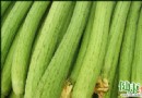 夏季吃絲瓜好處多！推薦兩款清爽養生絲瓜食譜