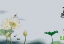 夏季養生有「五怕」！立夏後護好這五個部位，健康度過炎夏