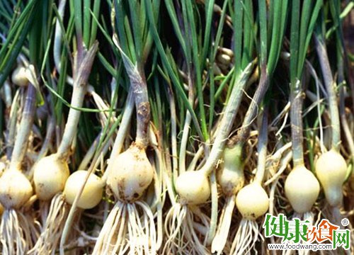 春天吃什麼好?春食野蒜解油膩