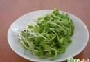 春季飲食養生指南：多吃「芽」類，順應萬物生機