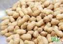 冬天吃什麼好？吃花生保暖御寒，營養媲美雞蛋牛奶