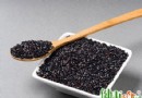冬季補腎吃什麼好？五大黑色食物幫你養腎護腎