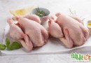 冬天吃什麼好？冬季進補首選雞肉，溫中益氣又活血強筋