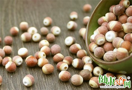 冬天吃什麼好?冬吃芡實健脾祛濕