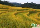 初秋養生指南：防暑與禦寒並重，健康度過季節交替