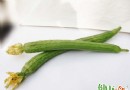 絲瓜：盛夏時節的美容療疾佳蔬，清熱解毒又護膚