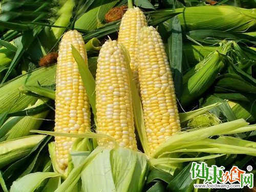 夏天美食:一起和玉米享受夏天的美食時光