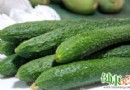 夏天吃什麼好？黃瓜生津解渴又消暑，這樣吃更健康