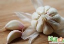 大蒜能強身健體？破解「每天吃大蒜」的保健迷思與科學真相