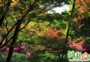 晚春養生指南：護眼明目四招，吃對睡好趕走全身疲乏