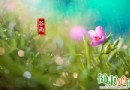 穀雨節氣靜功養生：五式簡單功法助你輕鬆防病