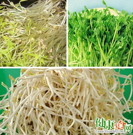 春吃芽:各類豆芽的功效不同