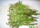 春天吃野菜要當心！蕨菜、薺菜、車前草的營養功效與食用禁忌一次看懂