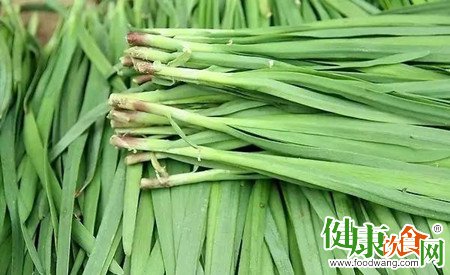 春分怎麼養生?春分時節吃韭菜