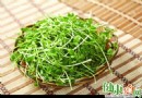 春季時令養生：豌豆苗護心血管、降血壓的五大食療功效