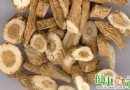 春季多發病防治攻略：板藍根的功效與服用禁忌全解析