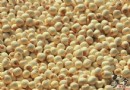 夏季食療養生指南：8種時令食材清補一夏