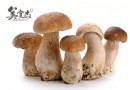 蘑菇富含硒元素　多吃有助預防肝癌、呵護肝臟健康