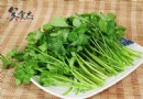 每天吃點香菜，輕鬆為腎臟排毒