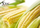 常吃玉米竟有這些好處！營養價值與降血壓食譜一次看懂