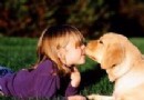 孩子被寵物咬傷怎麼辦？緊急處理步驟與狂犬病預防全攻略