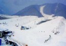 滑雪凍傷急救指南：認識症狀、好發部位與正確處理方法
